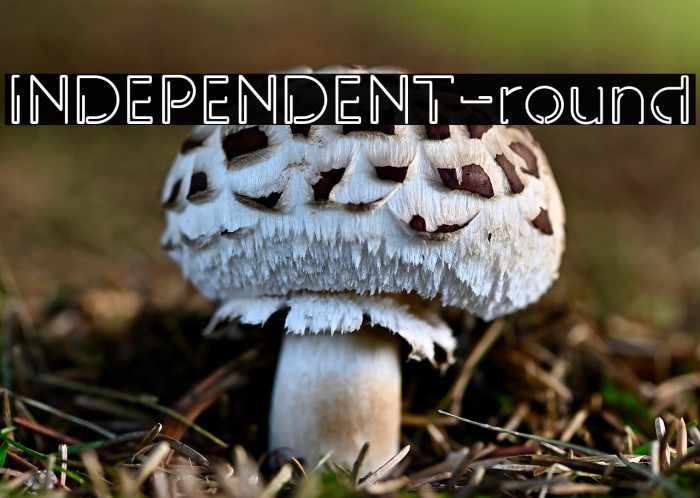 INDEPENDENT-round Example 3