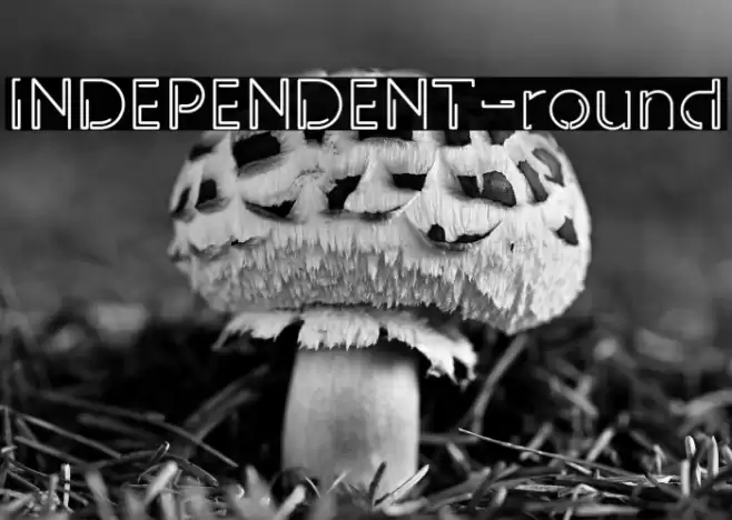 INDEPENDENT-round Font examples
