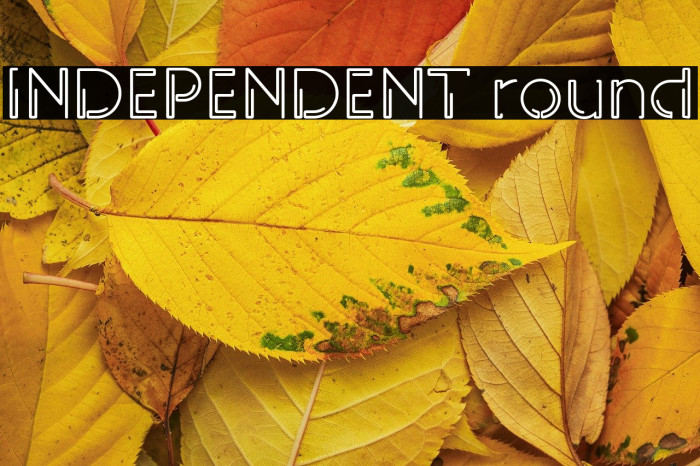 INDEPENDENT round Example 1