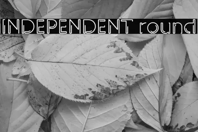 INDEPENDENT round Font examples