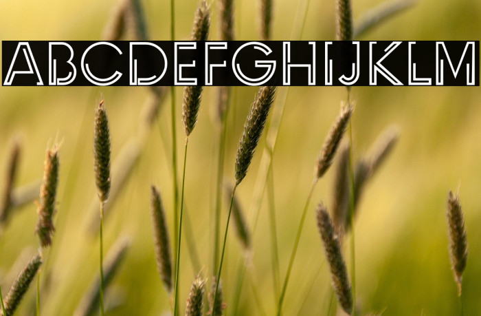 INDEPENDENT Example 1