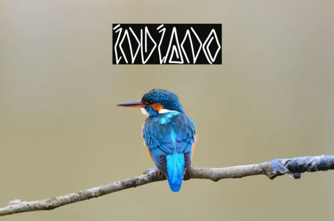 INDIANO Example 3