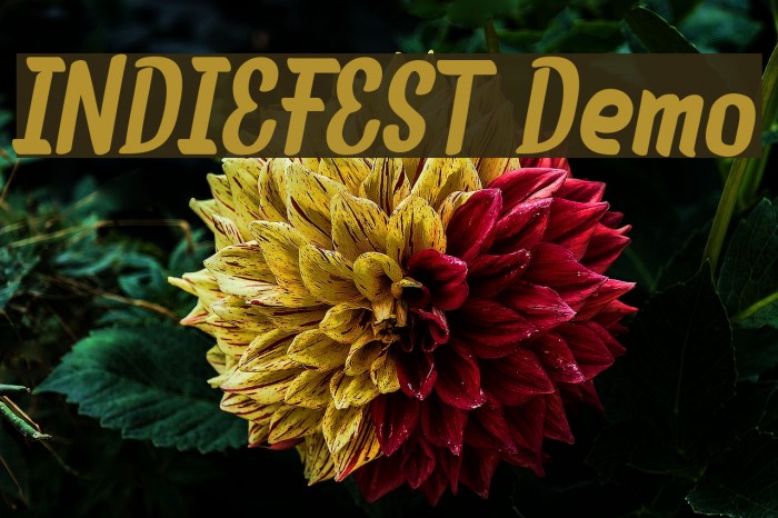 INDIEFEST Demo Example 3