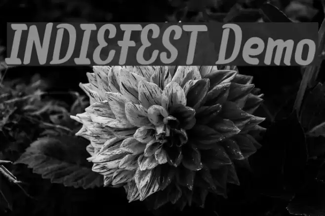 INDIEFEST Demo Font examples