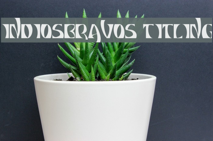 INDIOSBRAVOS TITLING Font examples