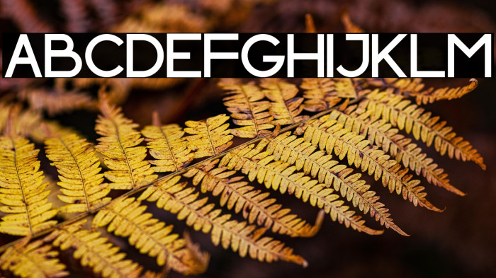 INDOSCREEN Example 1