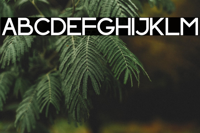 INDOSCREEN Example 3