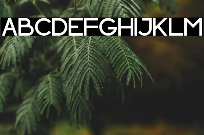 INDOSCREEN Example 3