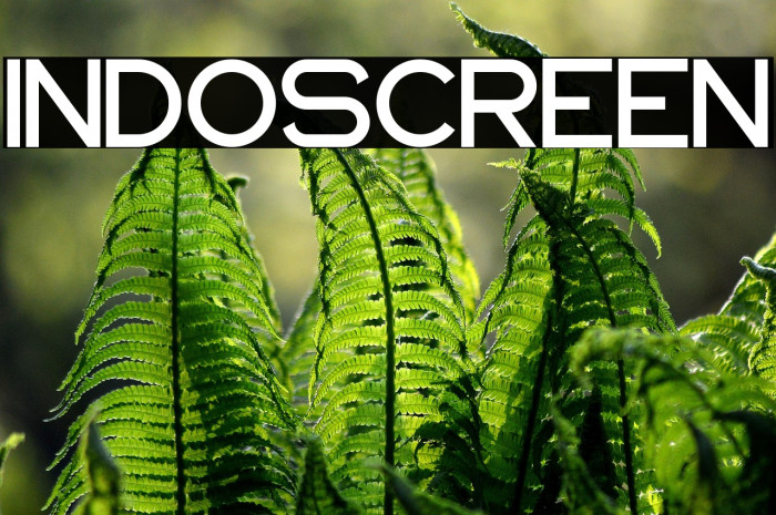 INDOSCREEN Example 1