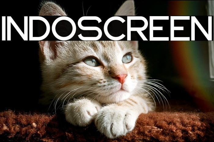 INDOSCREEN Example 3