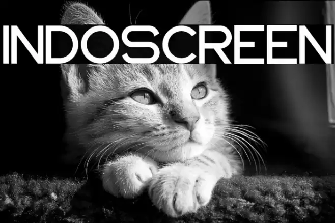 INDOSCREEN Font examples