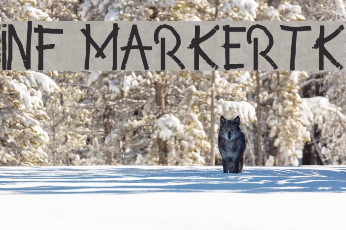 INF MarkerTK Font examples