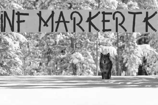 INF MarkerTK Font examples