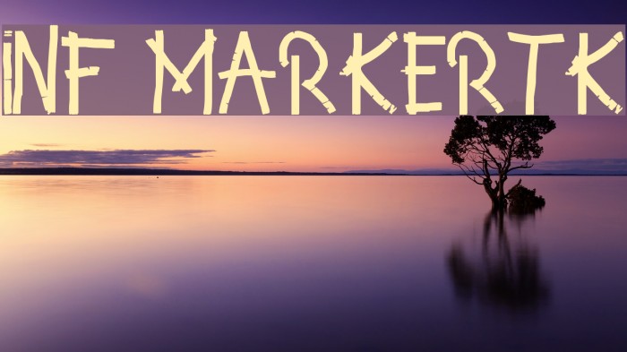 INF MarkerTK Font examples
