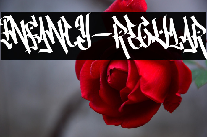 INFANCY-Regular Example 3