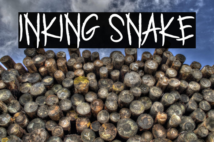 INKING SNAKE Example 1