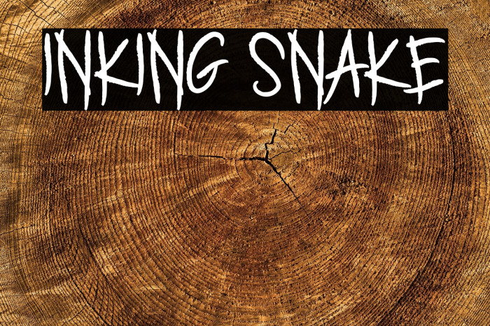 INKING SNAKE Example 3