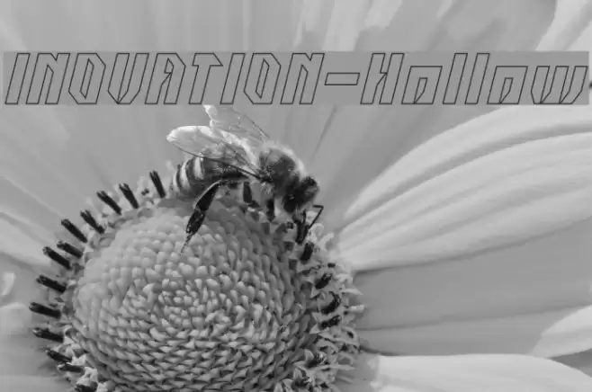 INOVATION-Hollow Font examples
