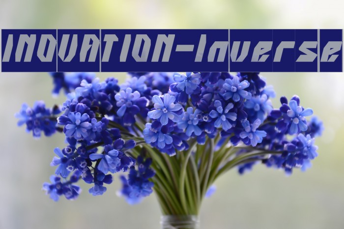 INOVATION-Inverse Example 2