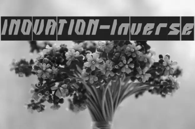 INOVATION-Inverse Font examples