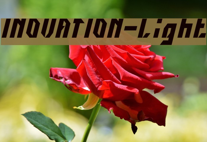 INOVATION-Light Example 1