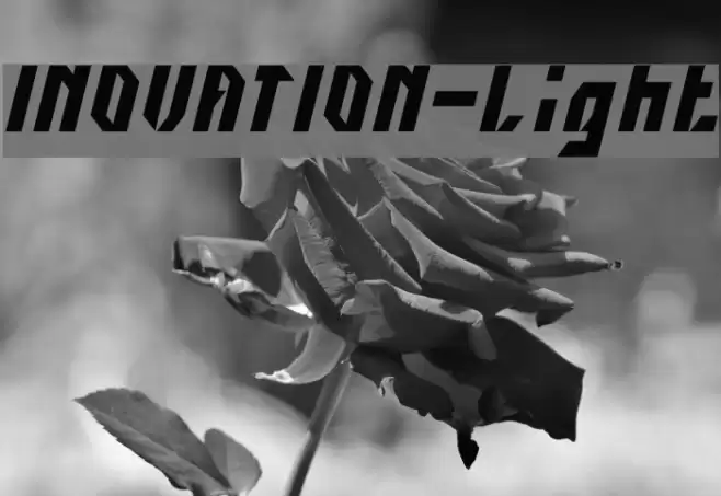 INOVATION-Light Font examples