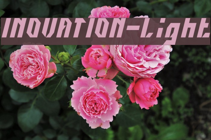 INOVATION-Light Example 2