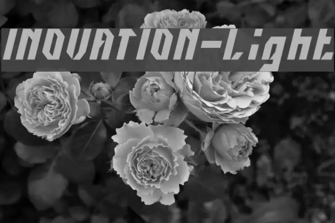 INOVATION-Light Font examples