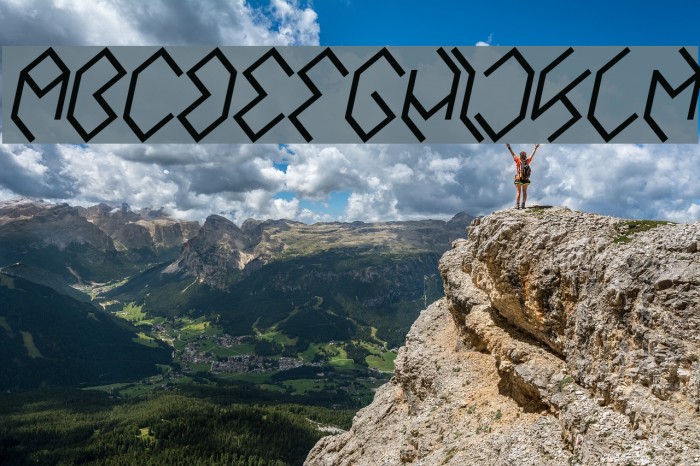 INSIDE THE BOX Bold Italic Font examples