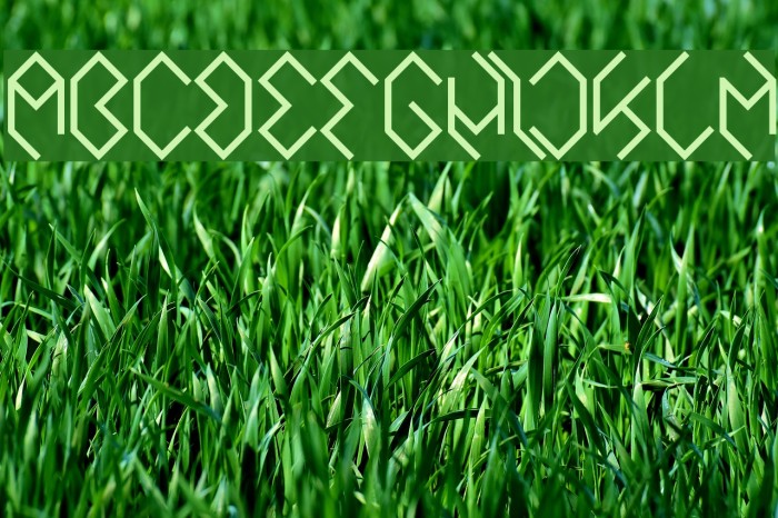 INSIDE THE BOX Bold Font examples