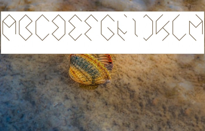 INSIDE THE BOX-Inverse Font examples