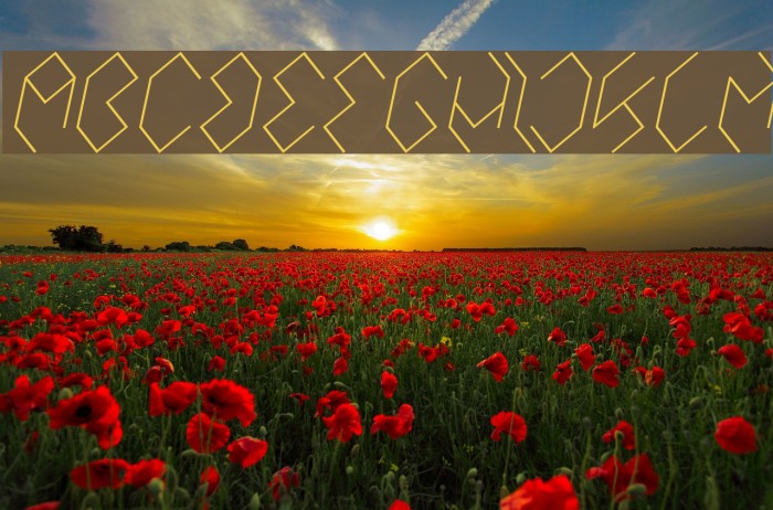 INSIDE THE BOX Italic Example 1