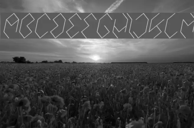 INSIDE THE BOX Italic Font examples