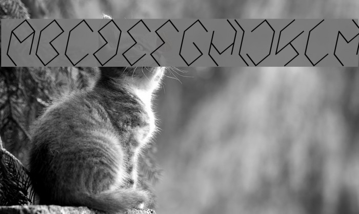 INSIDE THE BOX Italic Example 2