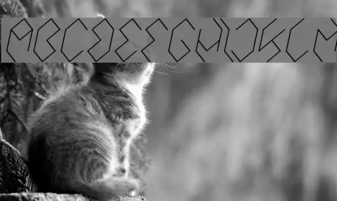 INSIDE THE BOX Italic Font examples