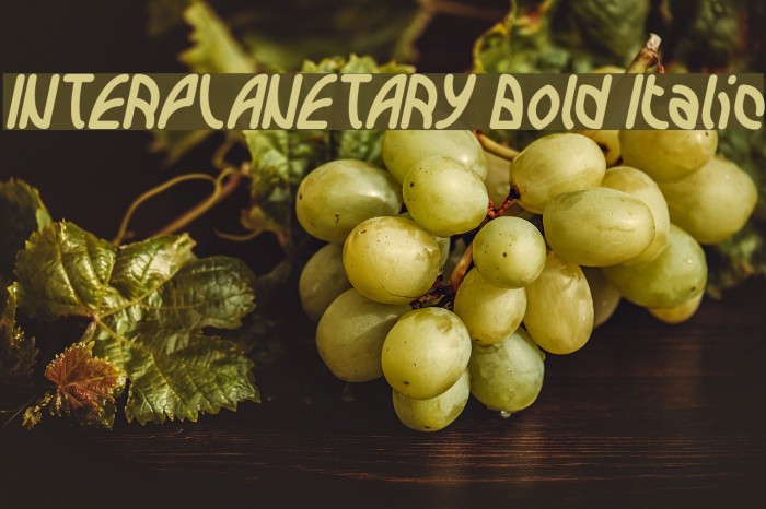 INTERPLANETARY Bold Italic Font examples