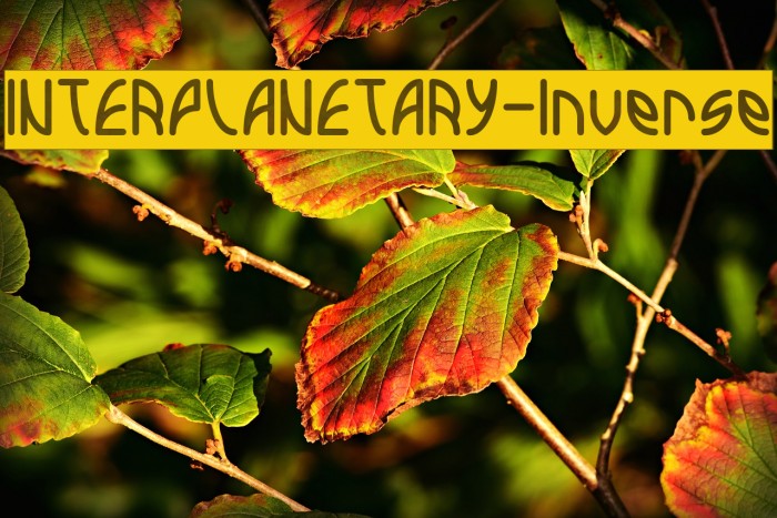 INTERPLANETARY-Inverse Font examples