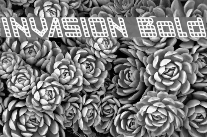 INVASION Bold Font examples