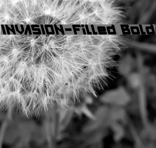 INVASION-Filled Bold Font examples