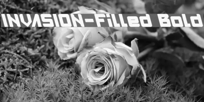 INVASION-Filled Bold Font examples