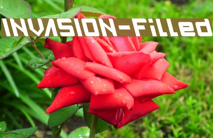 INVASION-Filled Font examples