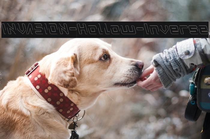 INVASION-Hollow-Inverse Example 3