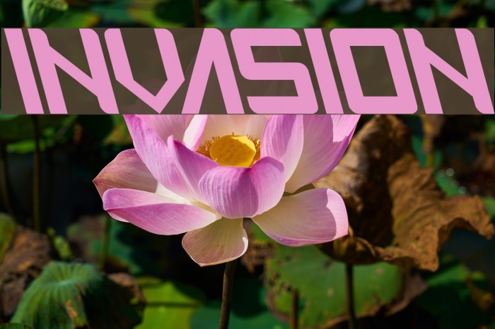 INVASION Font examples