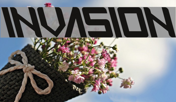 INVASION Schriftart examples