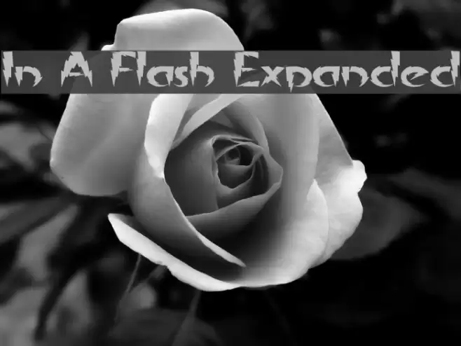 In A Flash Expanded フォント examples