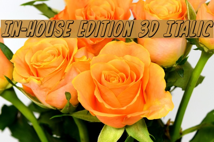 In-House Edition 3D Italic Font examples