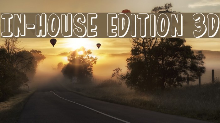 In-House Edition 3D Font examples