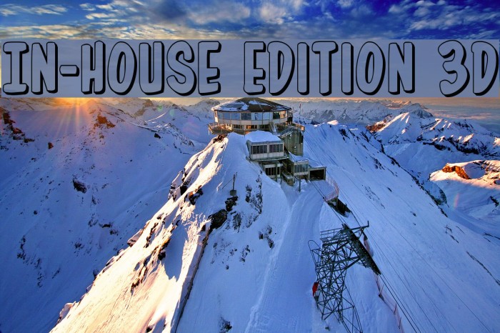 In-House Edition 3D Font examples