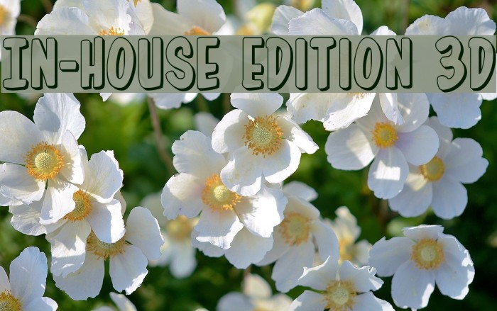 In-House Edition 3D Font examples