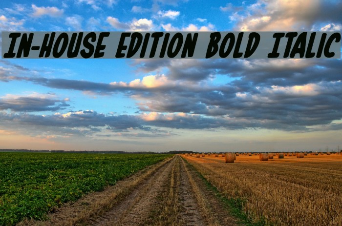 In-House Edition Bold Italic Font examples